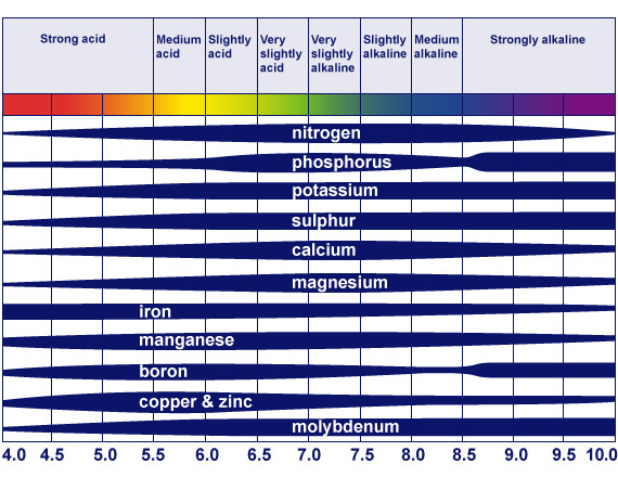 Diagram showing how pH affects the availability of different nutrients